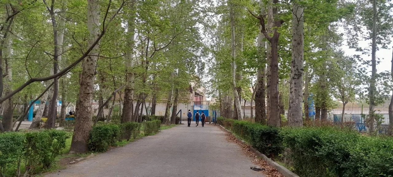 هنرستان نمونه دولتی امام صادق (ع) - مدرسه در تهران - تصویر 2