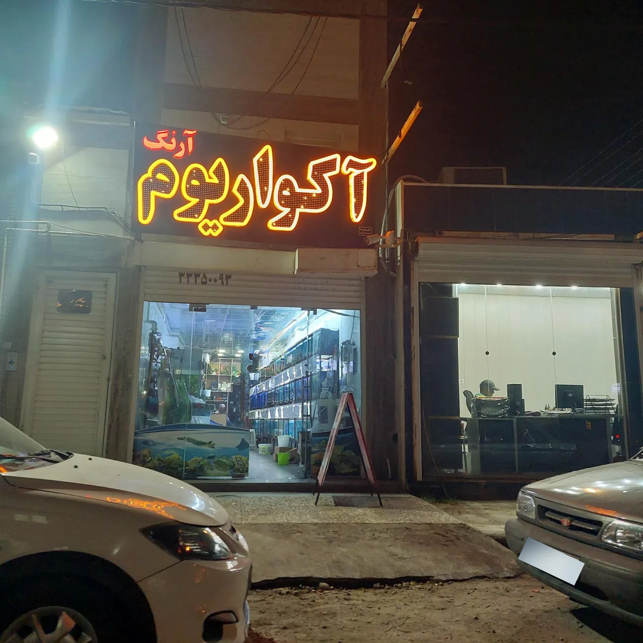 آکواریوم آرنگ