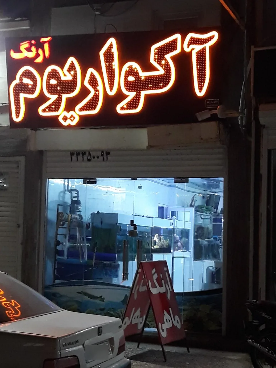آکواریوم آرنگ - تصویر 2
