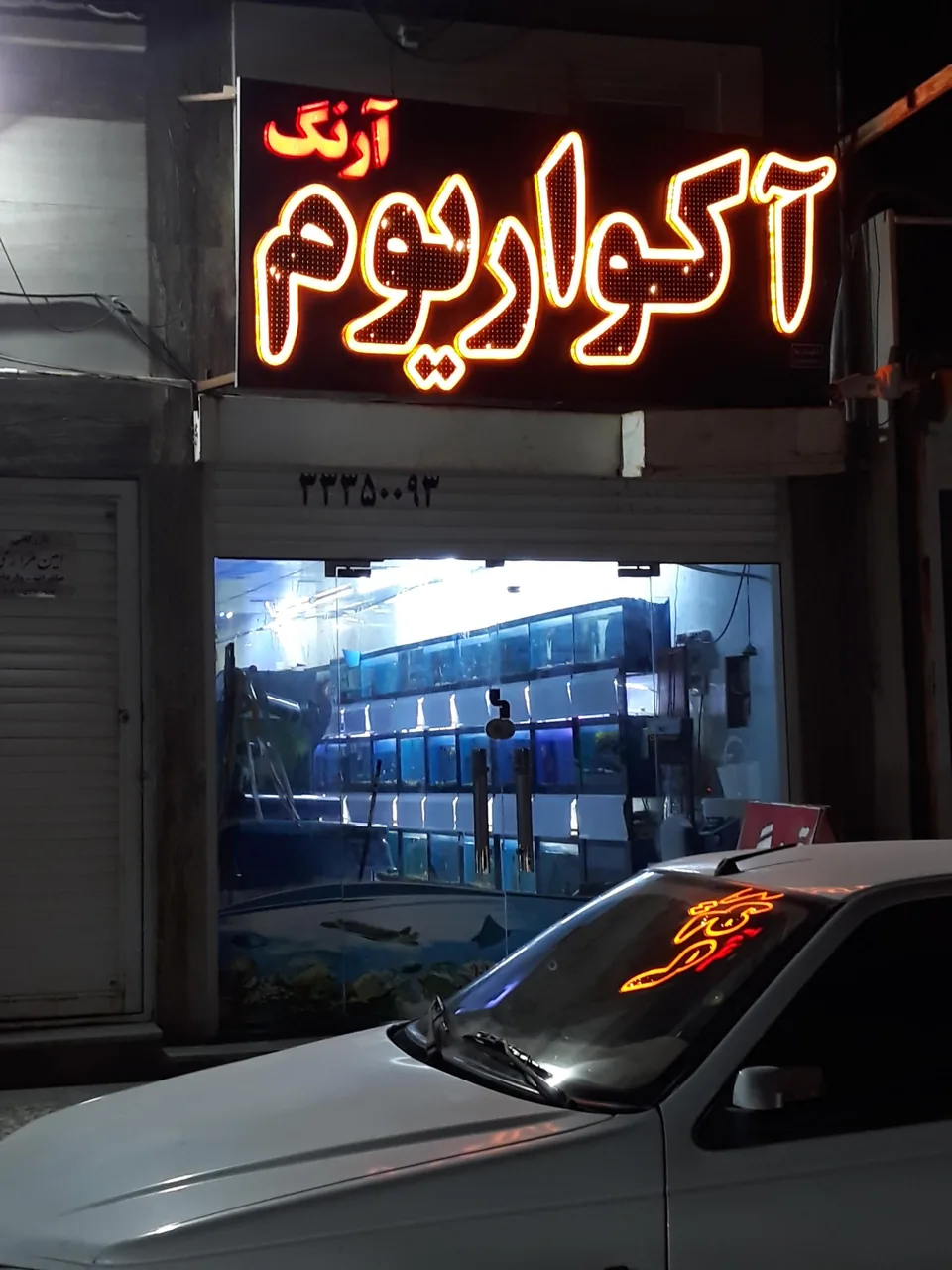 آکواریوم آرنگ - تصویر 3