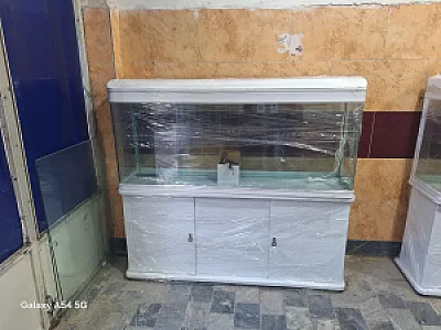 اکواریوم مرکزی گرگان