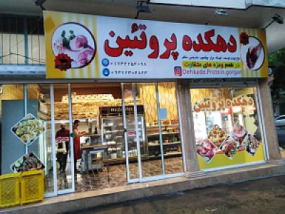 دهکده پروتئین