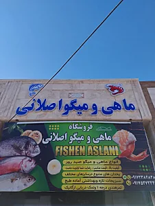 ماهی و میگو اصلانی