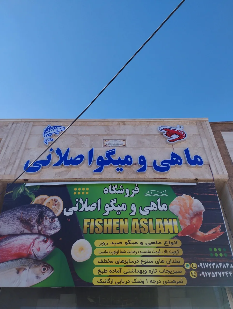 ماهی و میگو اصلانی