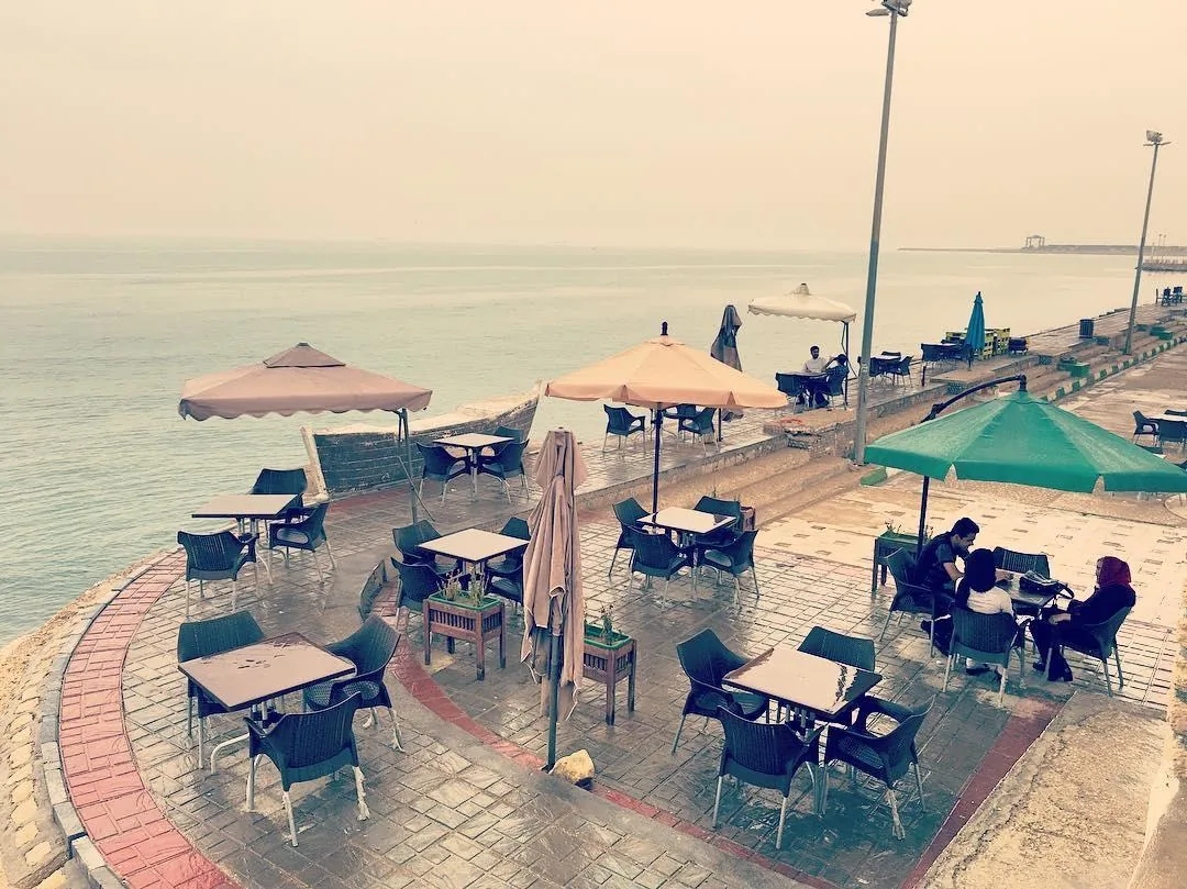 کافه دلفین - تصویر 2