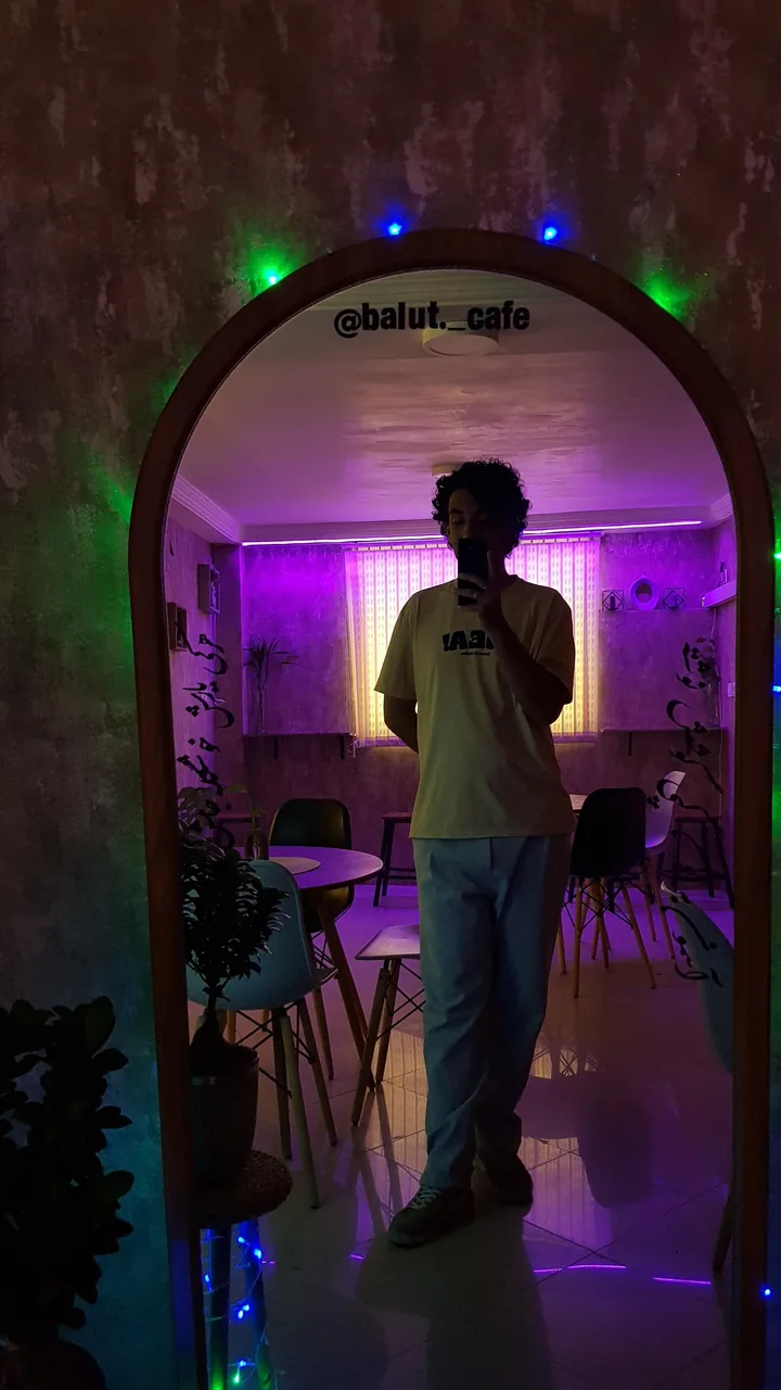 کافه بلوط - تصویر 5