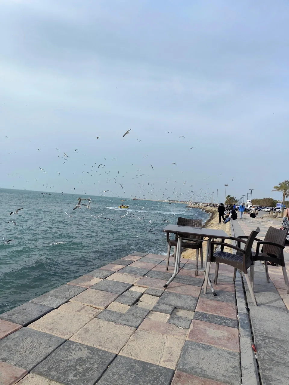 کافه گلاف - تصویر 3