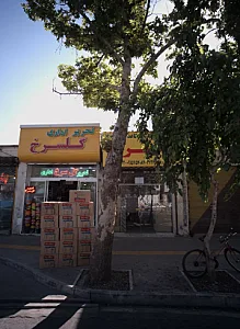 پخش کاغذ گلسرخ