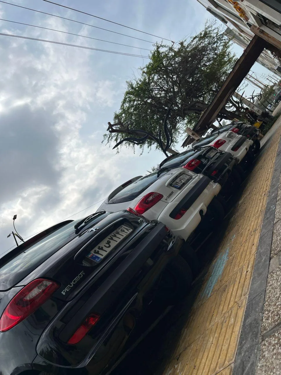اتوگالری کردی (مجتبی) - تصویر 4