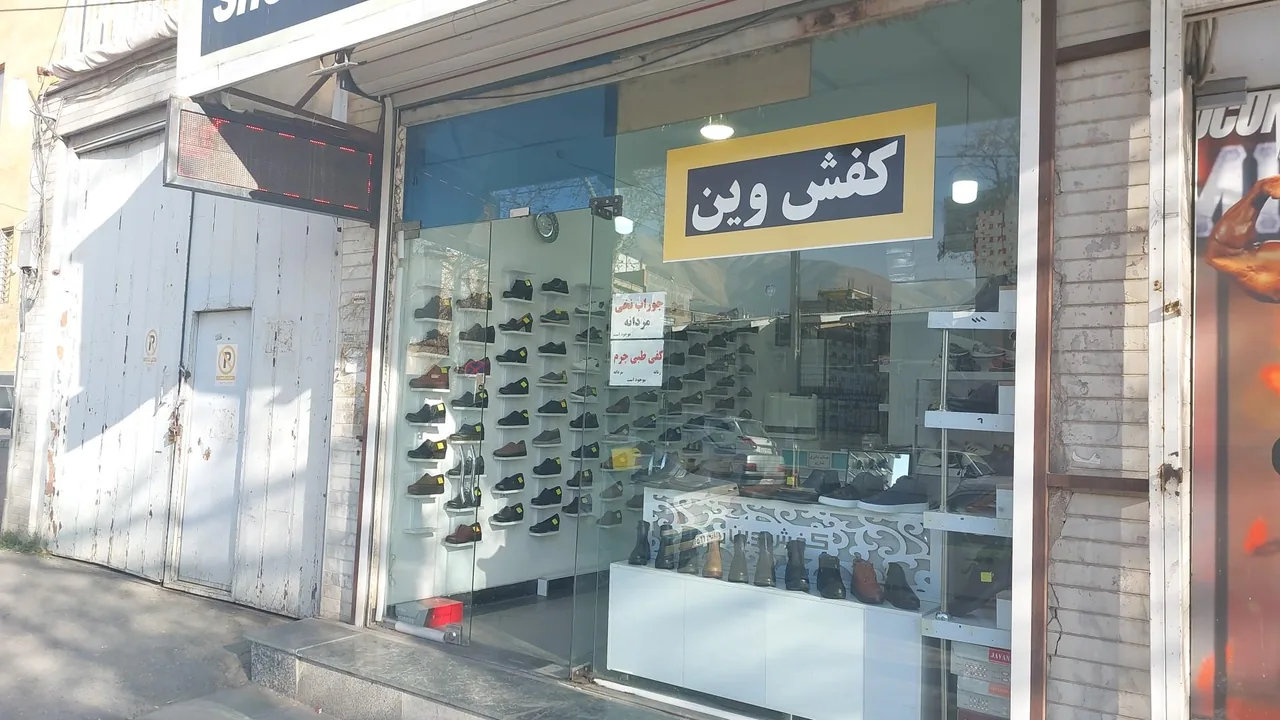 کفش وین - تصویر 2