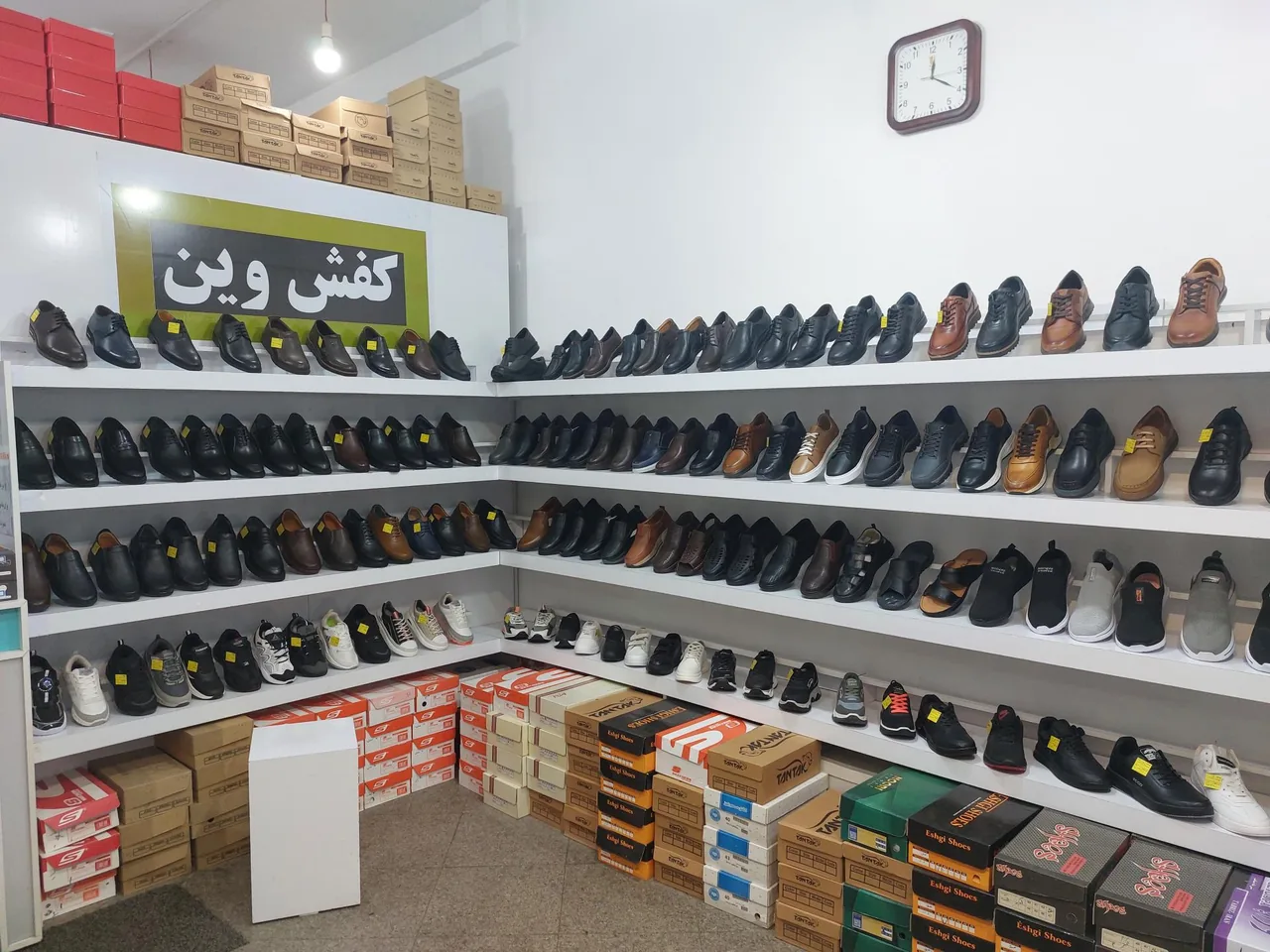 کفش وین - تصویر 4