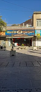 کفش ملی 1504 سنندج