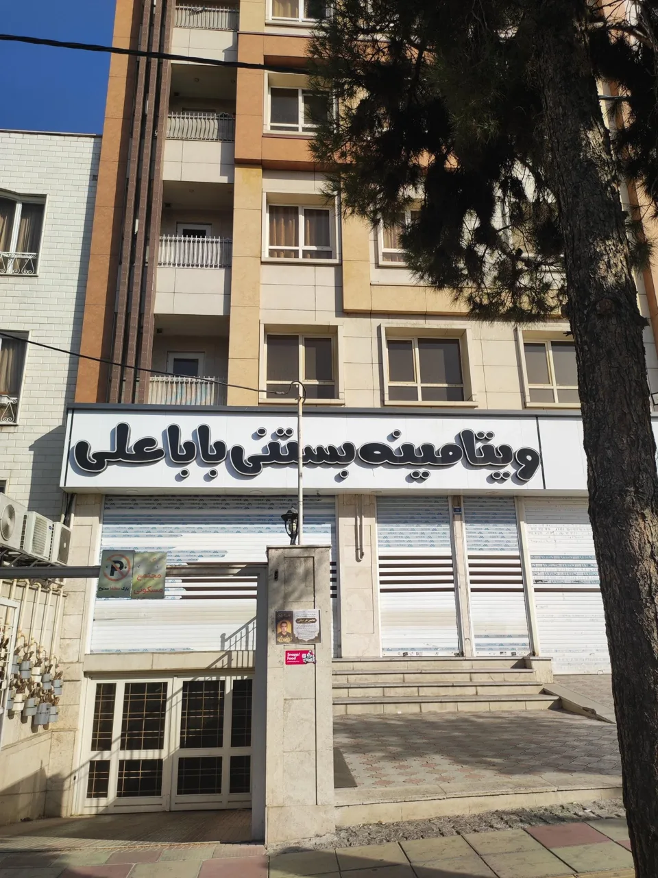 ویتامینه بستنی بابا علی - تصویر 4