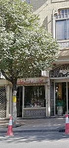 امانت فروشی نیلی