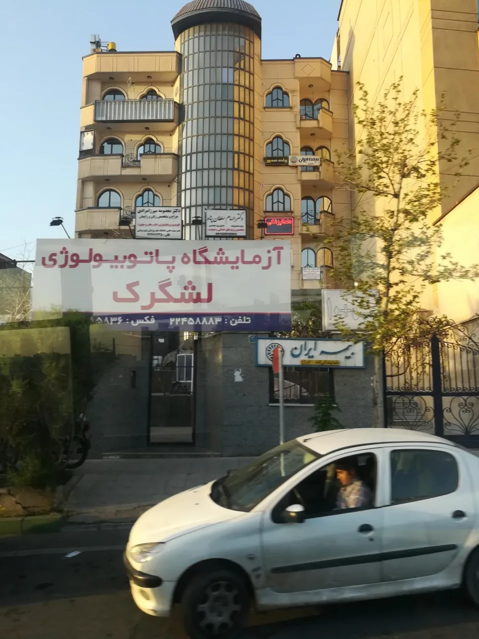 آزمایشگاه پاتوبیولوژی لشگرک - تصویر 2