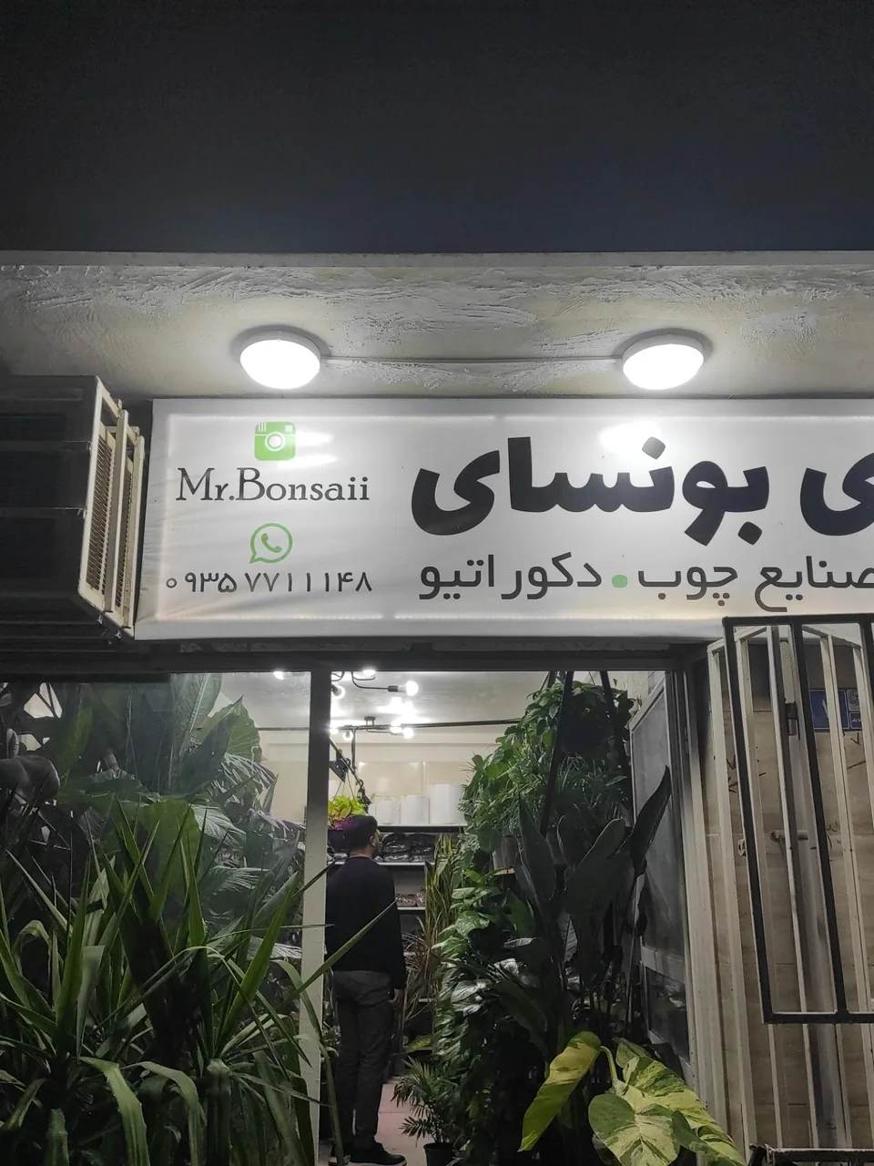 گالری آقای بونسای - تصویر 2
