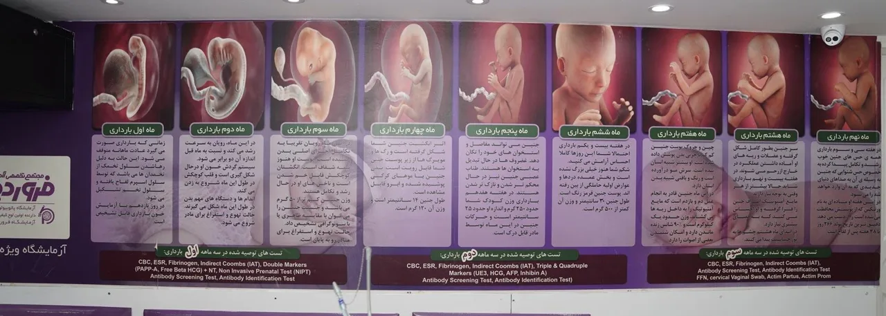 آزمایشگاه پاتوبیولوژی و ژنتیک فروردین - تصویر 4