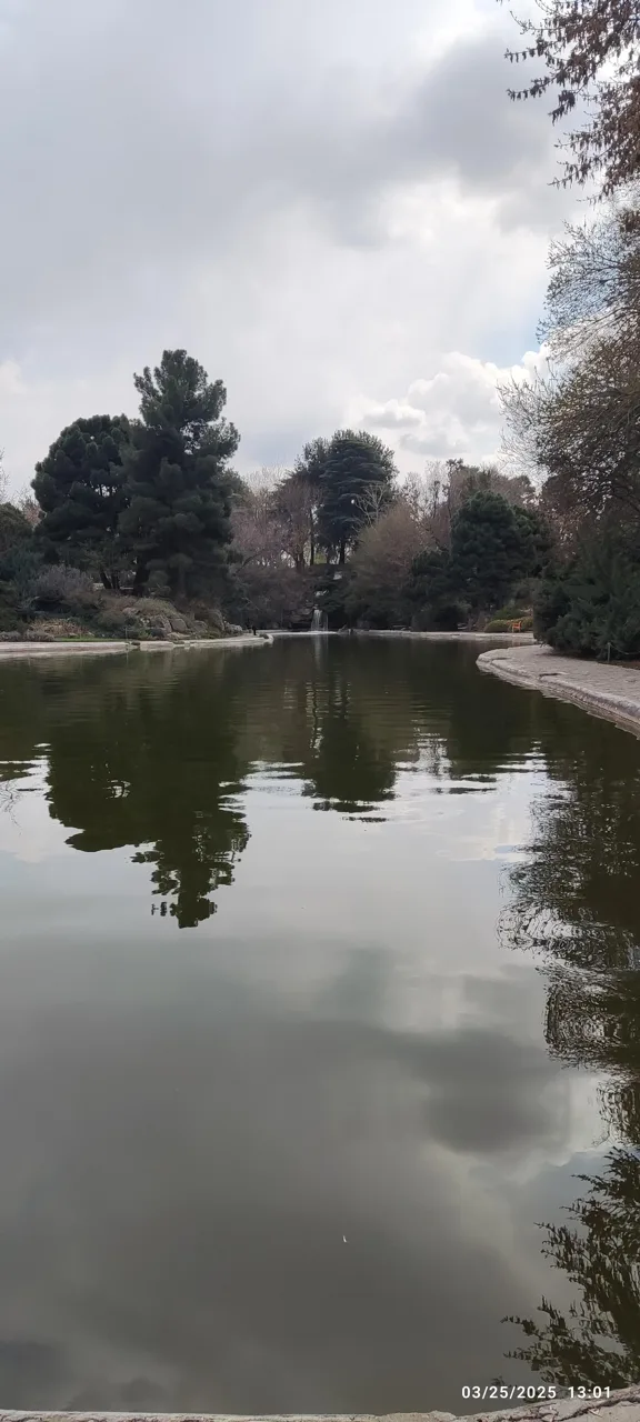 جنگل های هیرکانی - تصویر 5