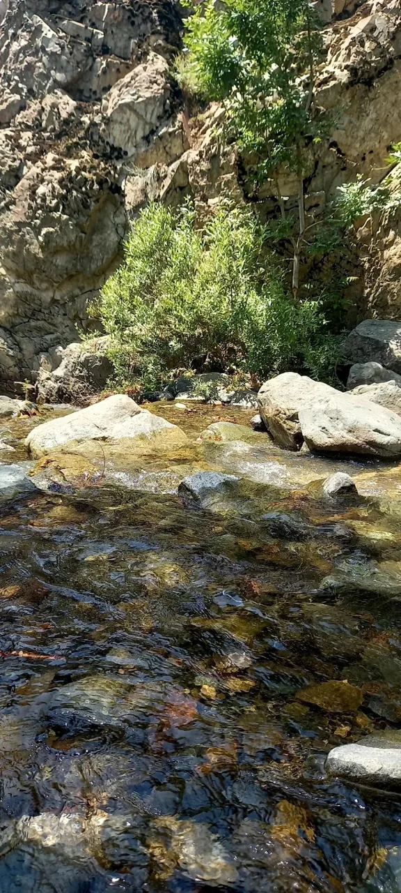 رودخانه دارآباد - تصویر 2
