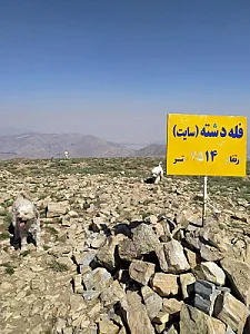 قله دشته(سایت)