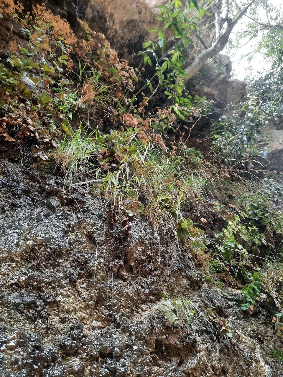 آبشار کارا - تصویر 4