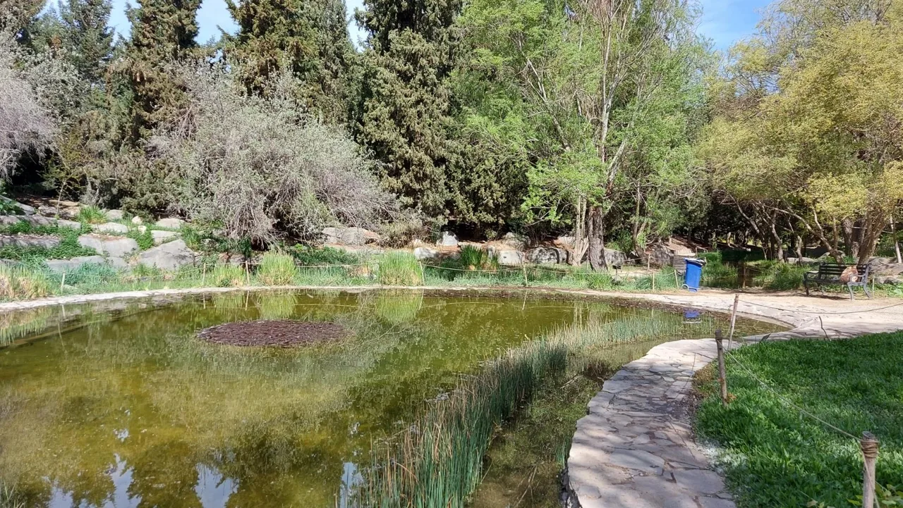 آبشار باغ گیاه‌شناسی تهران - جاذبه طبیعی در تهران - تصویر 3