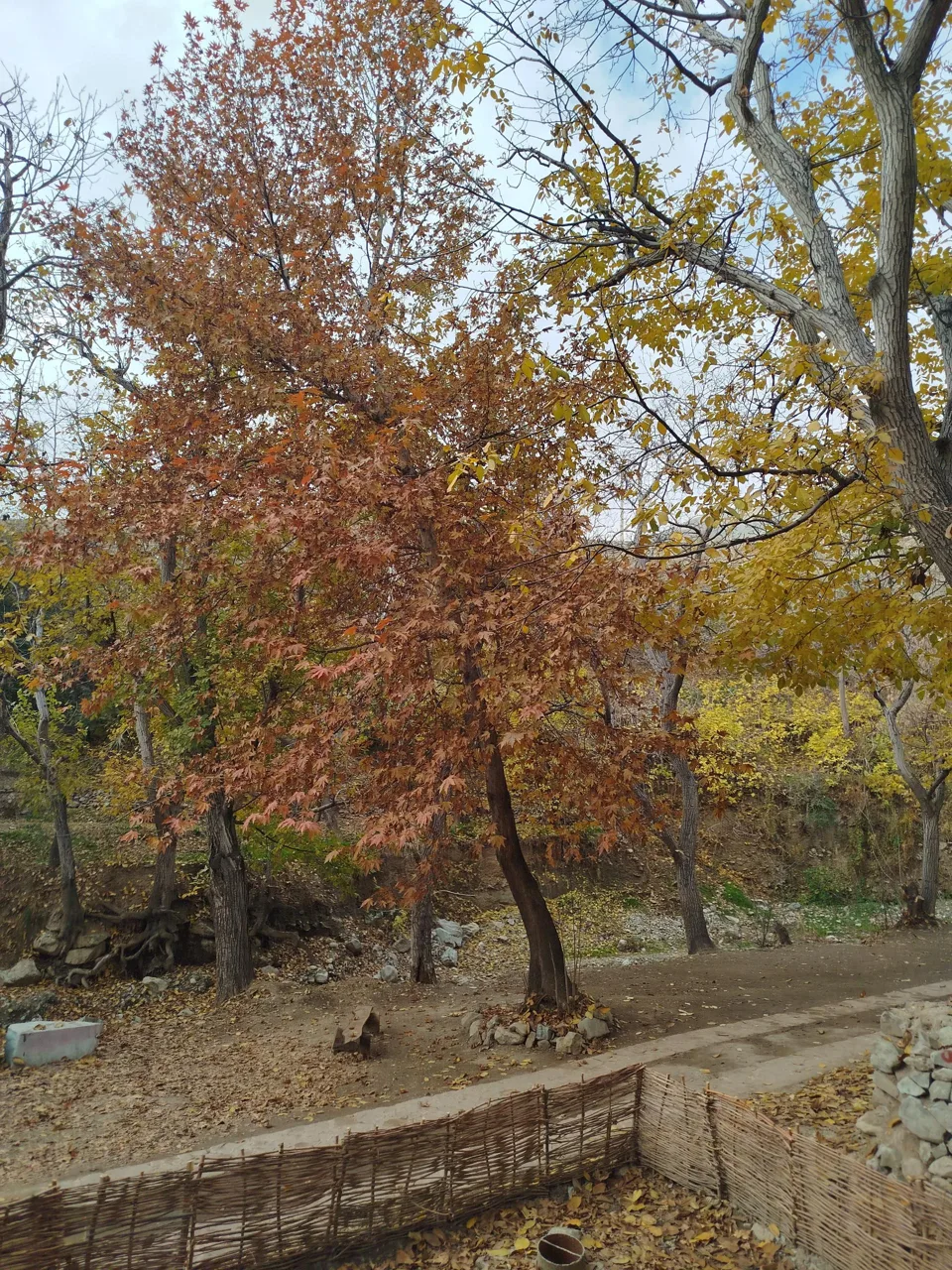 ورودی غربی روددره فرحزاد - تصویر 4