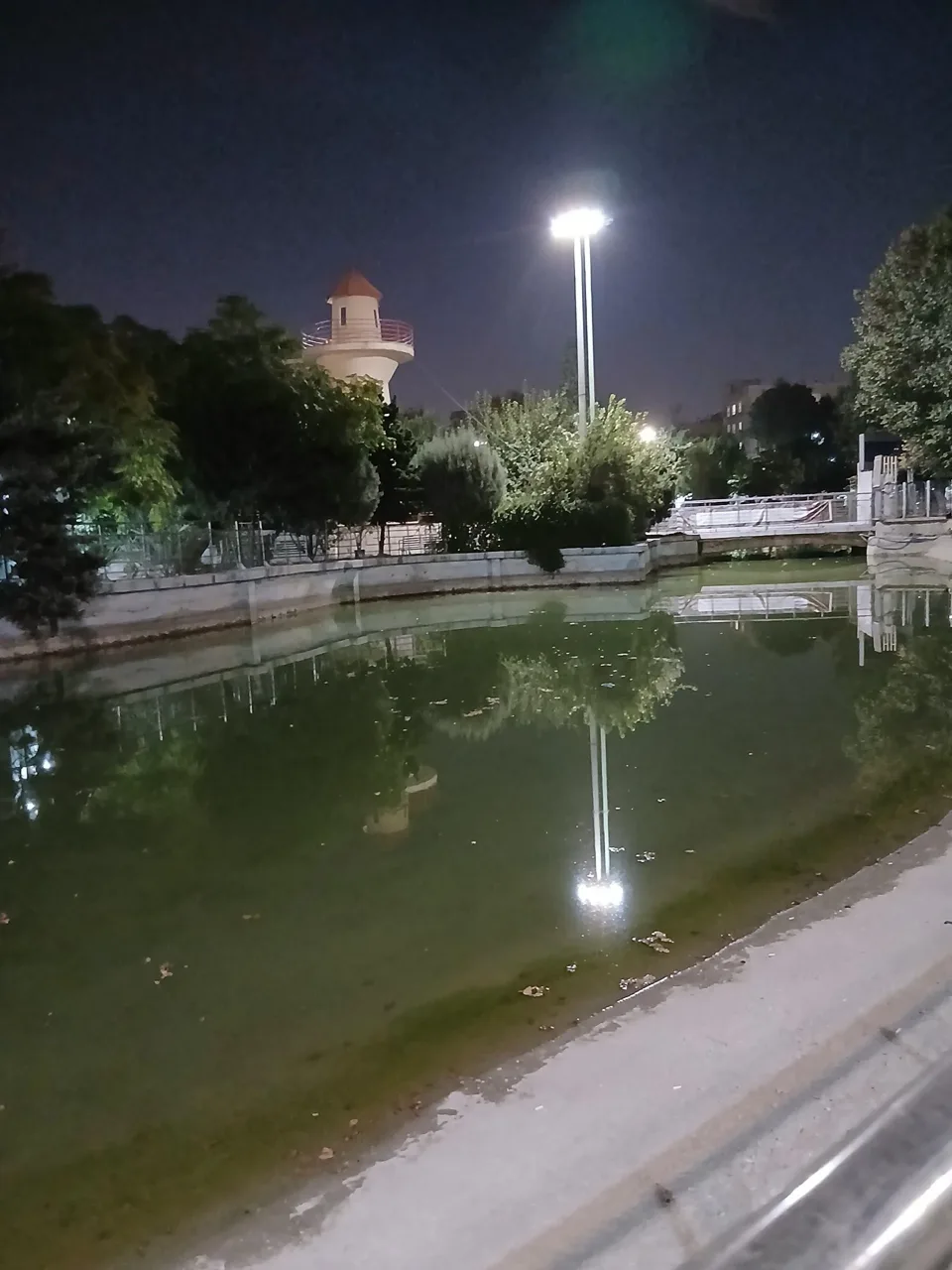دریاچه بوستان المهدی(عج) - تصویر 4