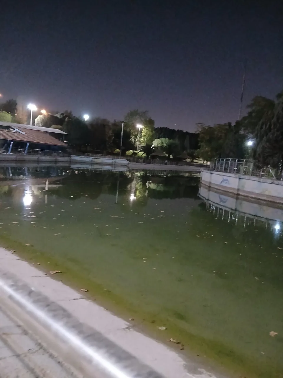 دریاچه بوستان المهدی(عج) - تصویر 5