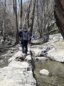 چشمه منصوری