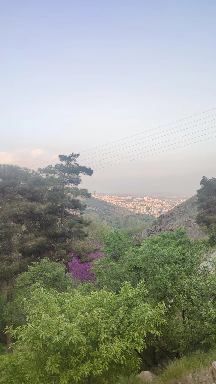 چشمه منصوری - تصویر 2