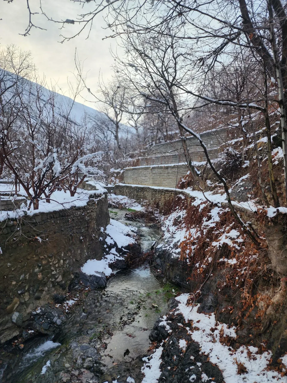 رودخانه