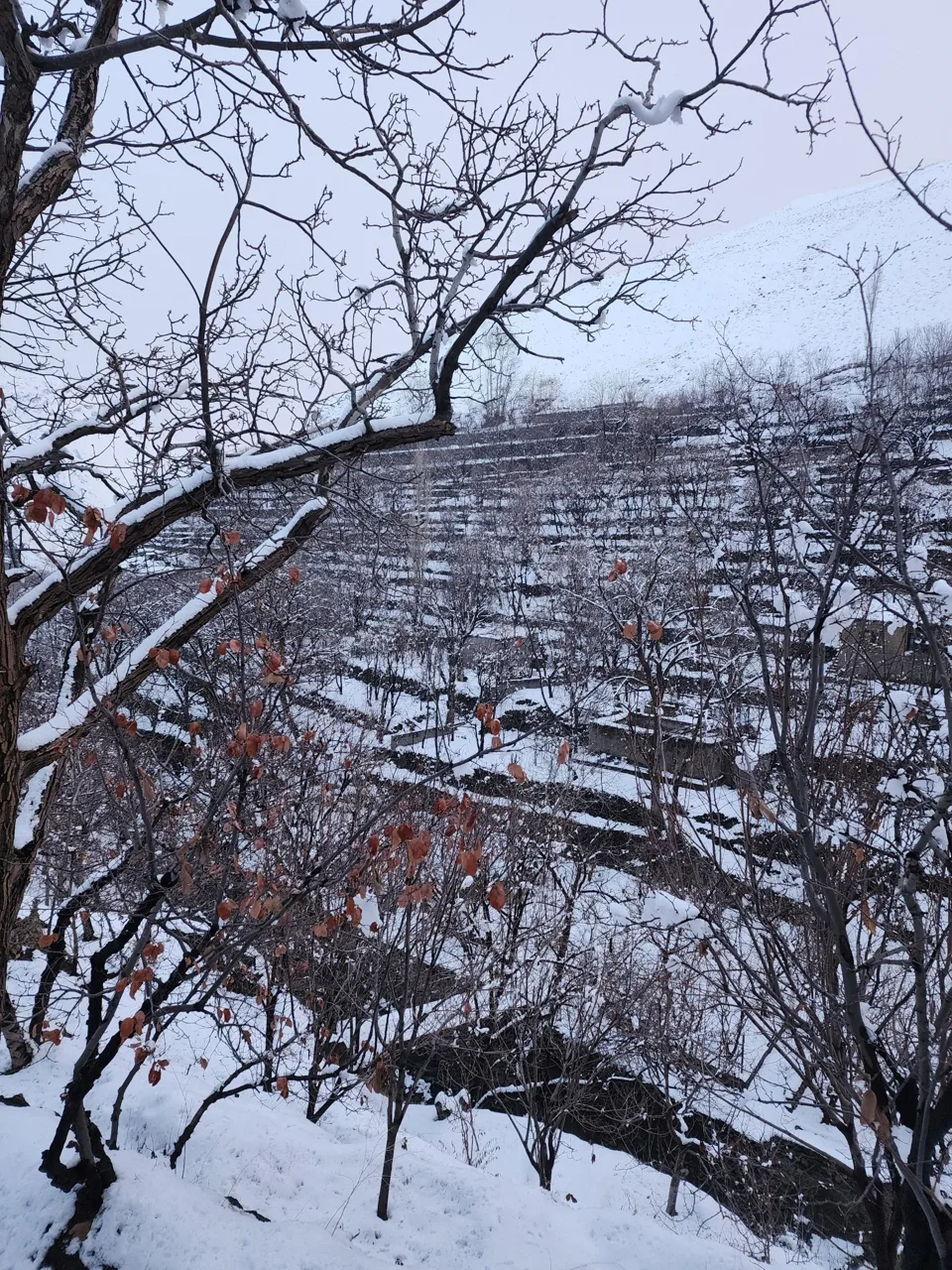 رودخانه - تصویر 4