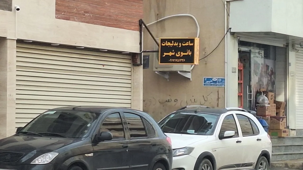 ساعت و بدلیجات بانوی شهر - تصویر 2