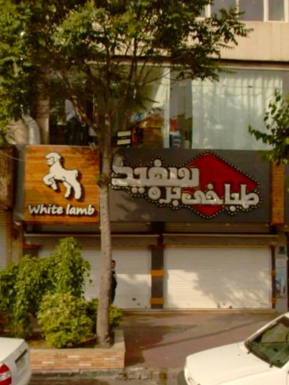 طباخی بره سفید - تصویر 2