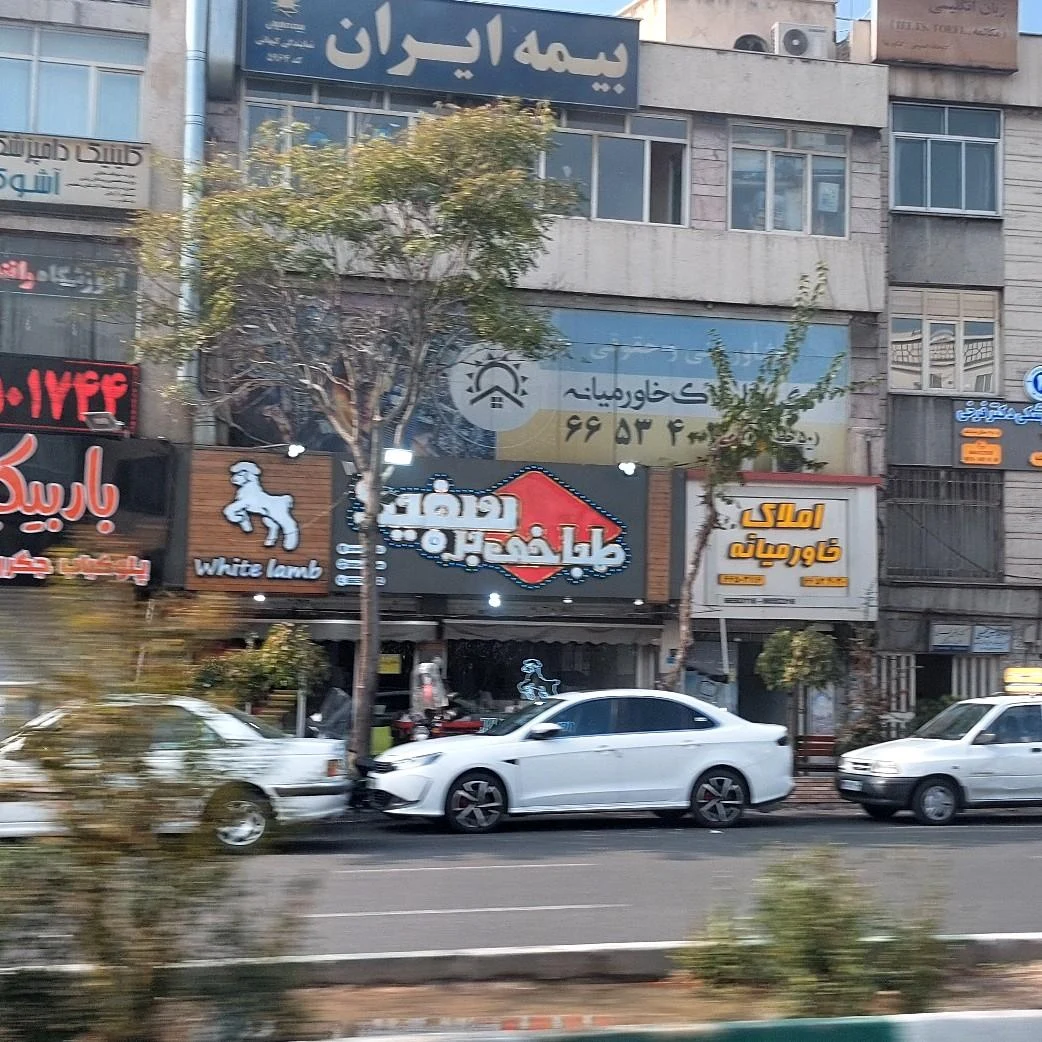 طباخی بره سفید - تصویر 4