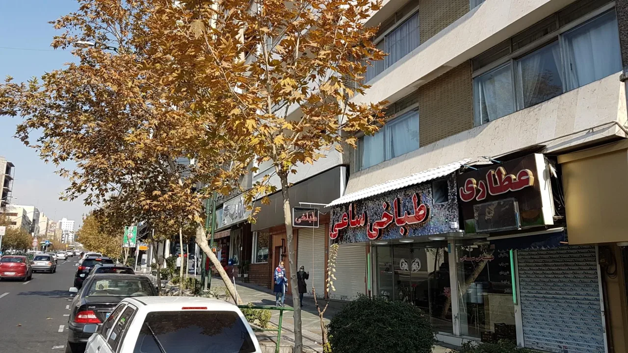 طباخی ساعی - تصویر 2