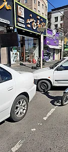 طباخی قوچ سفید