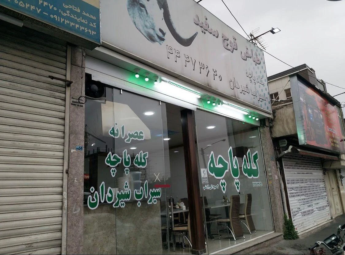 طباخی قوچ سفید - تصویر 2