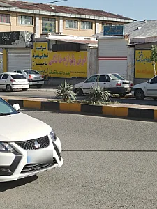 کالا برق کردستانی