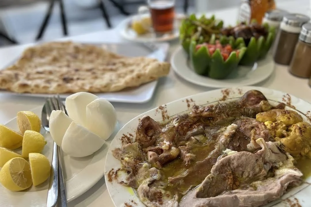 طباخی ماسیو - تصویر 4