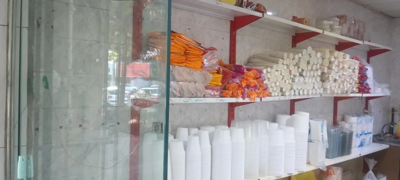 خانه پلاستیک و یکبار مصرف - تصویر 3
