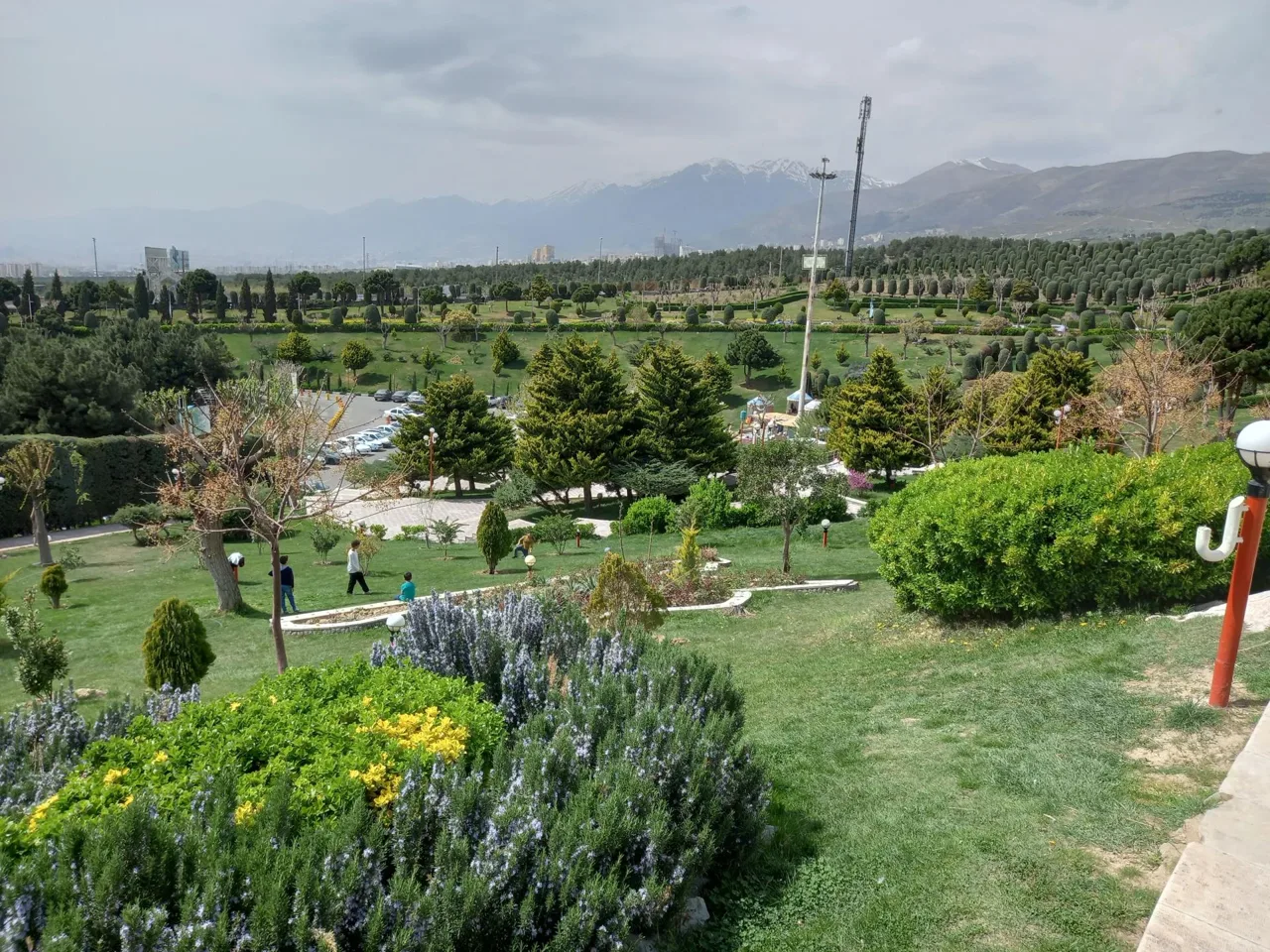 تالار پذیرایی طلائیه - تصویر 5