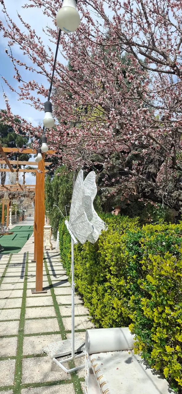 باغ عمارت کسری - تصویر 4