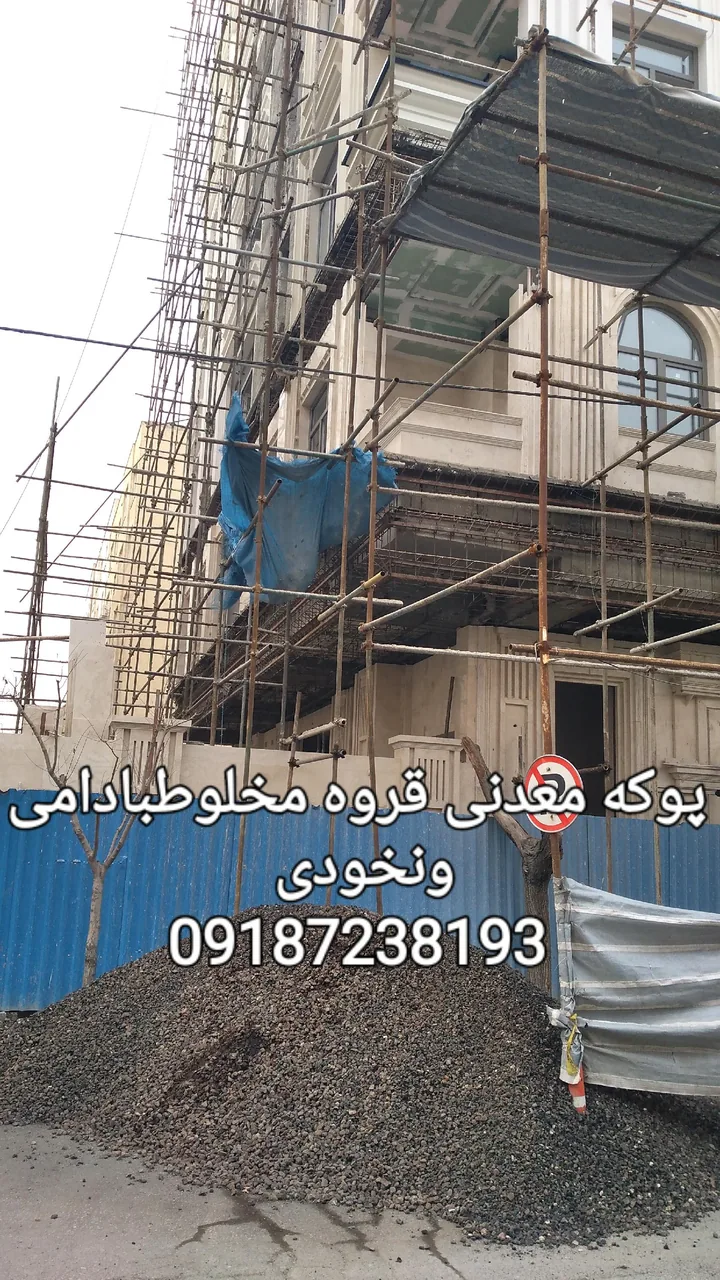 پوکه معدنی سیاه  دانه - تصویر 4