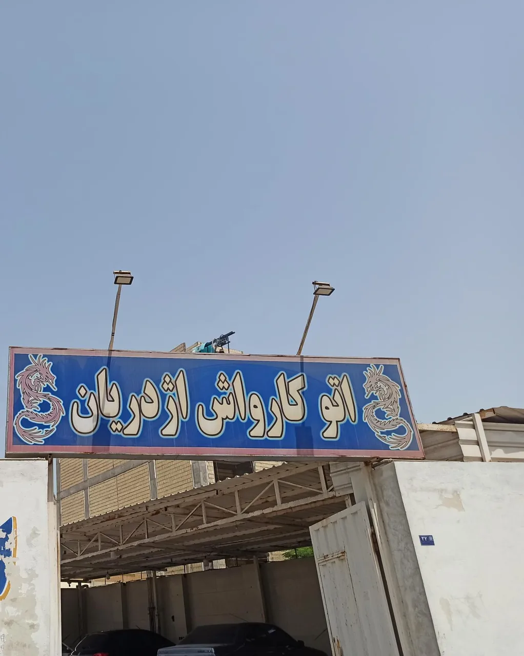 کارواش اژدریان