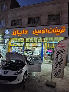 تزئینات خودرو دایان