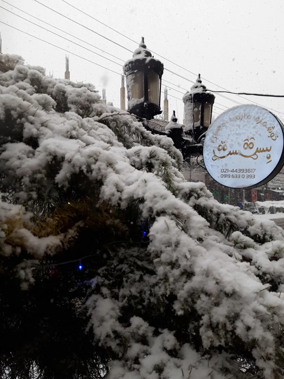 بستست - گوشت، مرغ و پروتئینی در تهران - تصویر 4