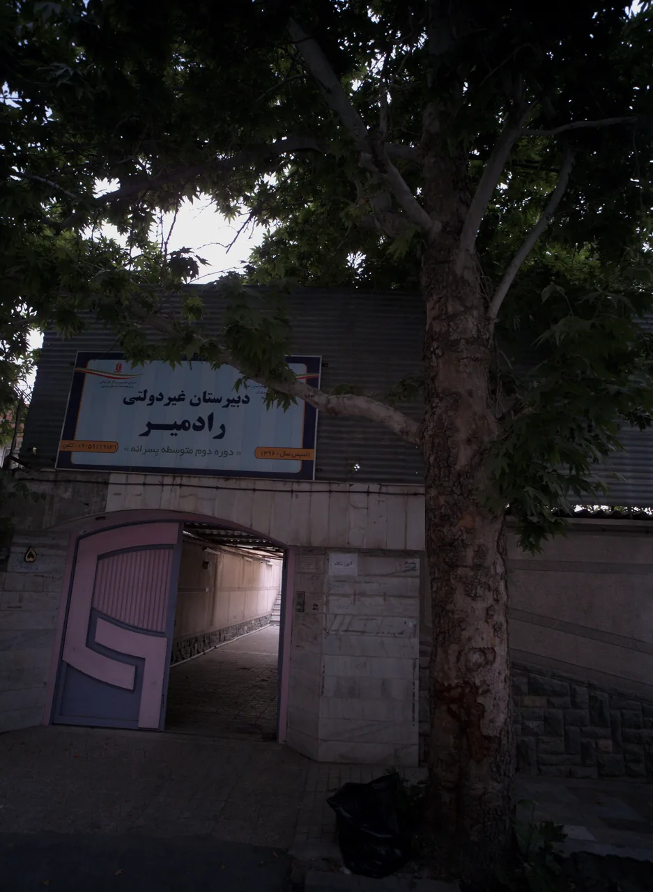 دبیرستان غیردولتی رادمیر