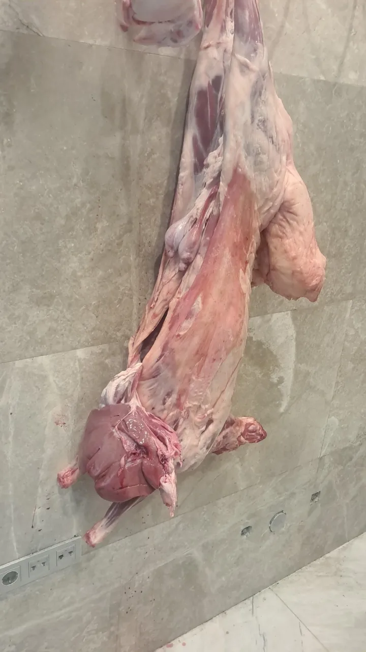 سوپر پروتئینی نمونه تهران - گوشت، مرغ و پروتئینی در تهران - تصویر 5